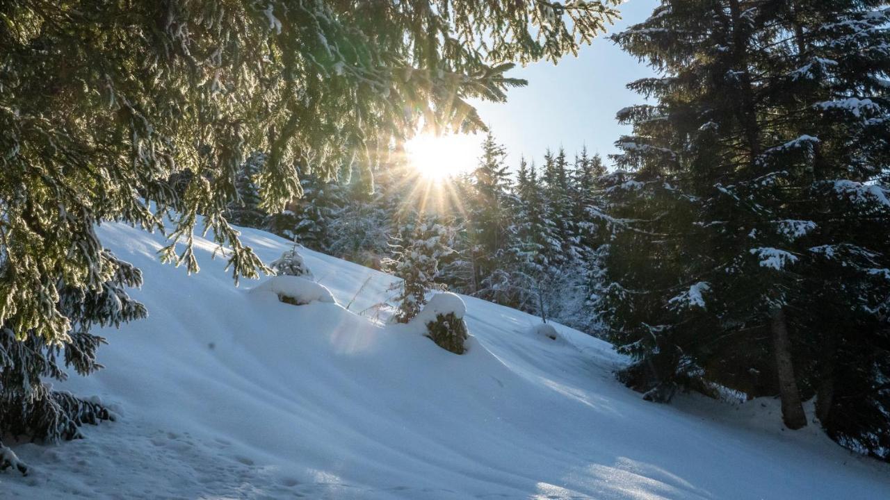 Apartmán Molto Haus Raggal Exteriér fotografie